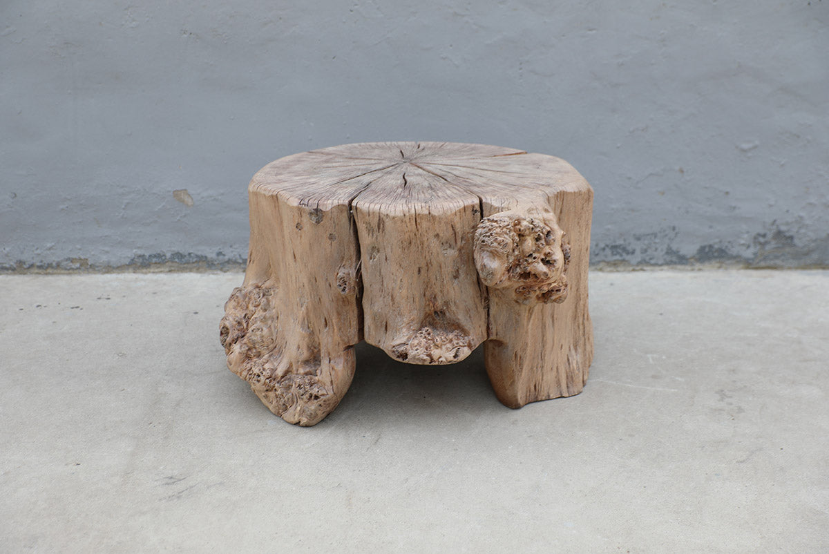 Side table tree trunk