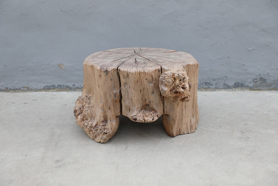 Side table tree trunk