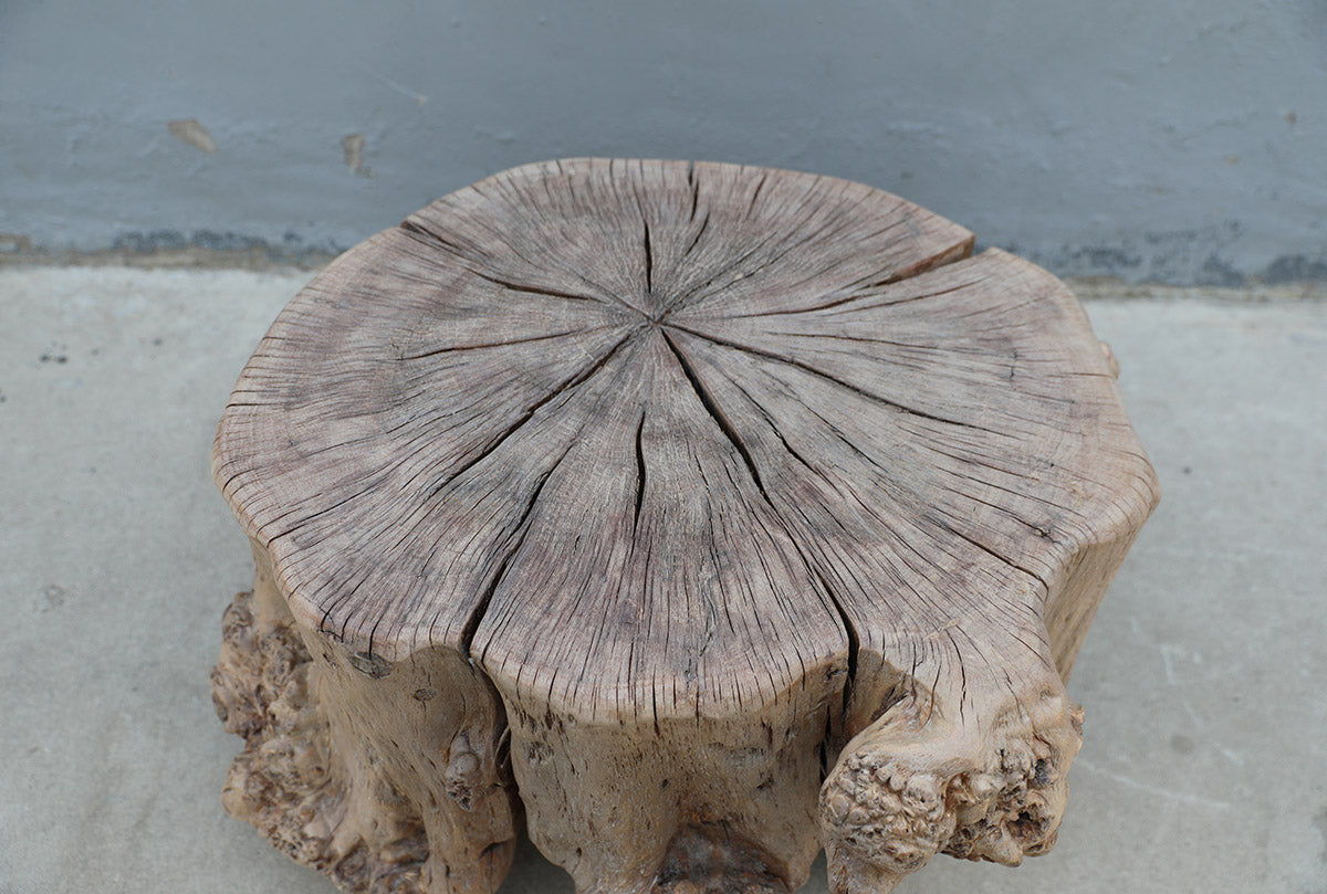Side table tree trunk – image 2