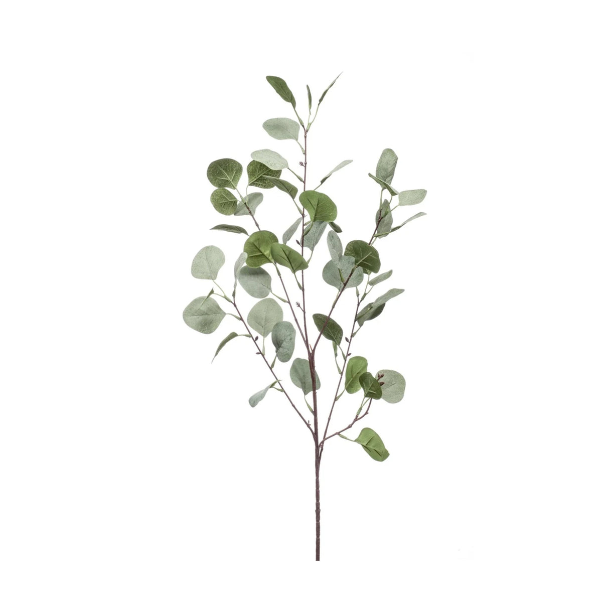 Eucalyptus Spray 87cm | Grey/Green