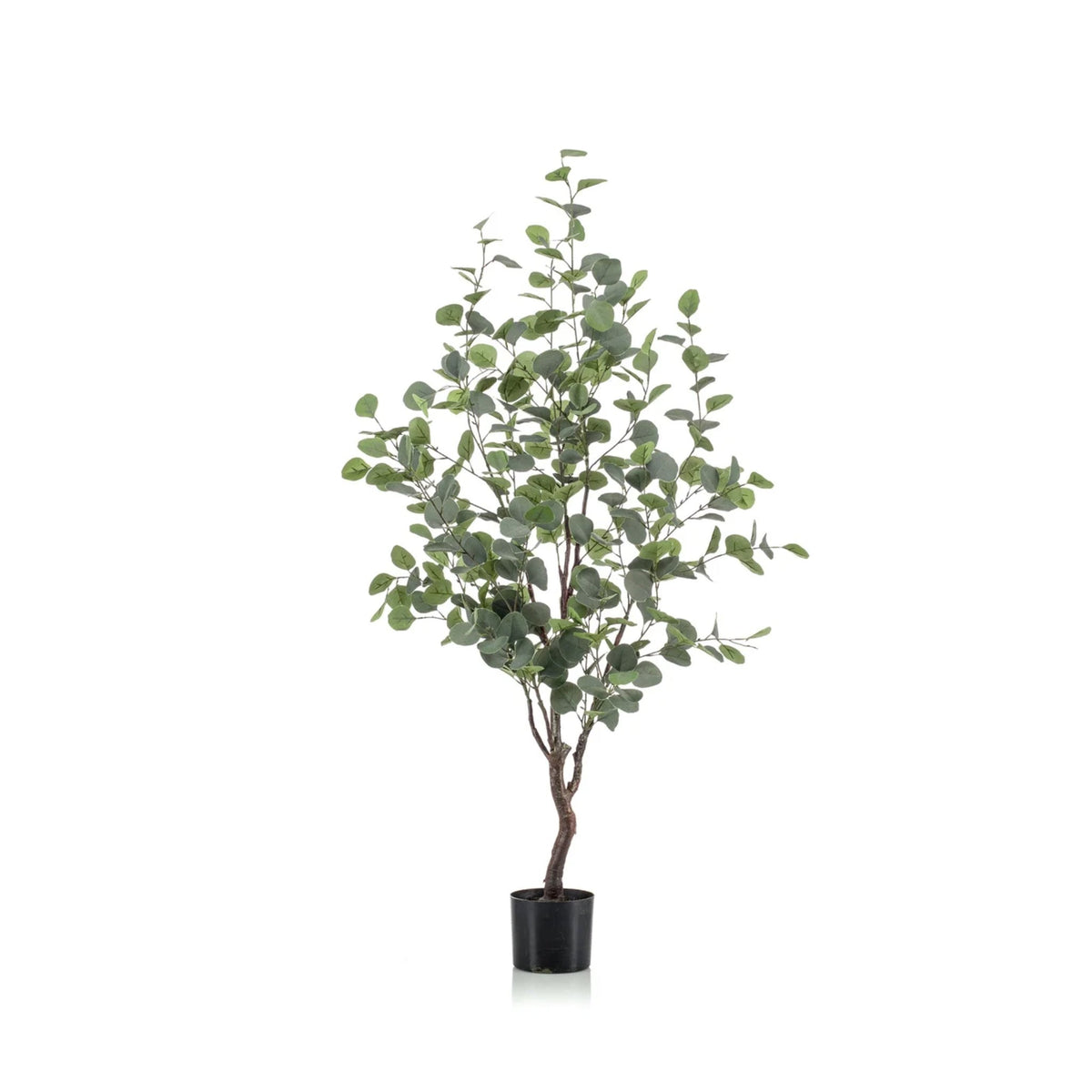 Faux Indoor Plant | Eucalyptus Tree 120cm