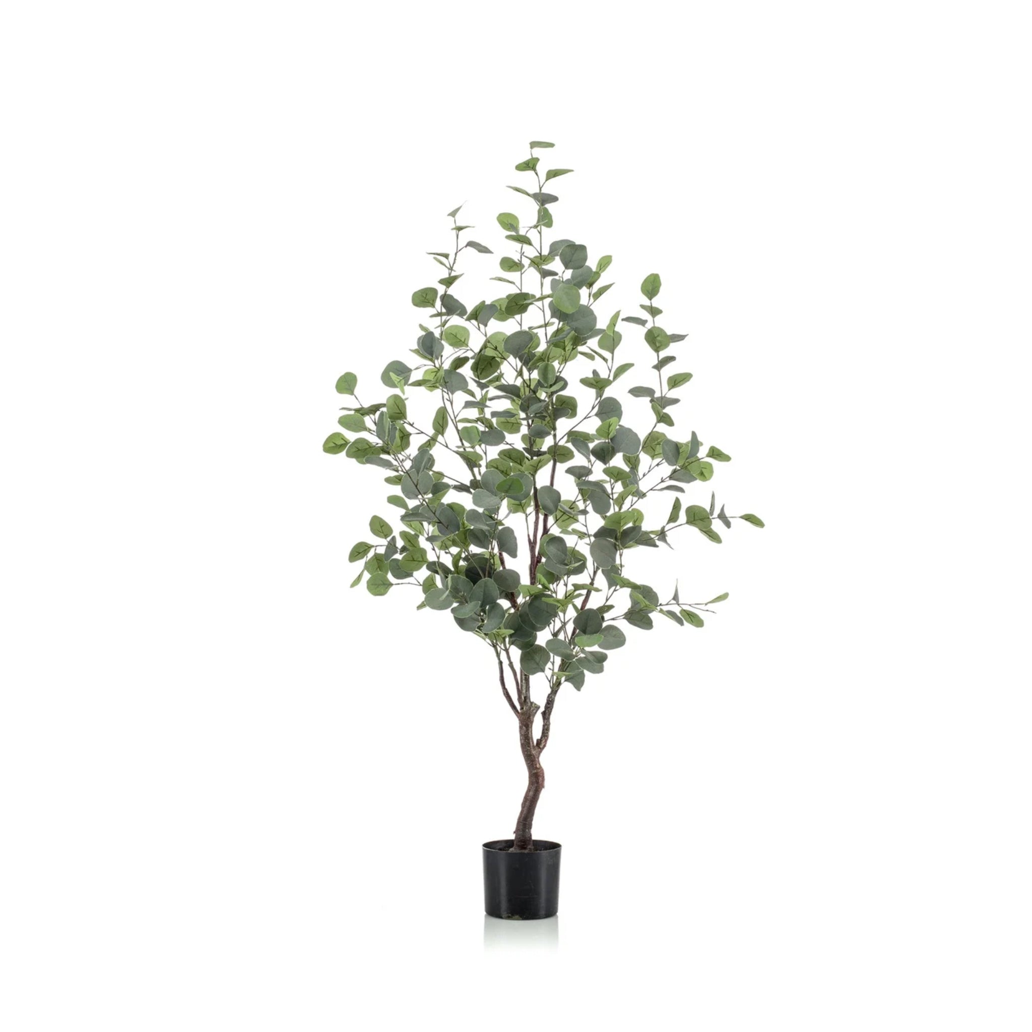 Faux Indoor Plant | Eucalyptus Tree 120cm