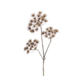 Heracleum Branch 102cm