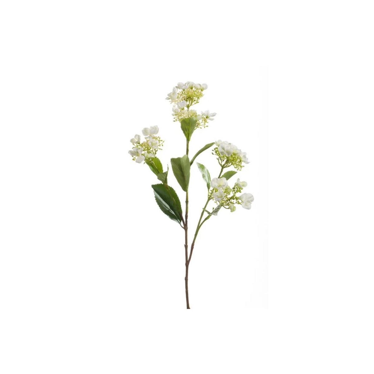 Hydrangea Spray 75cm | Cream