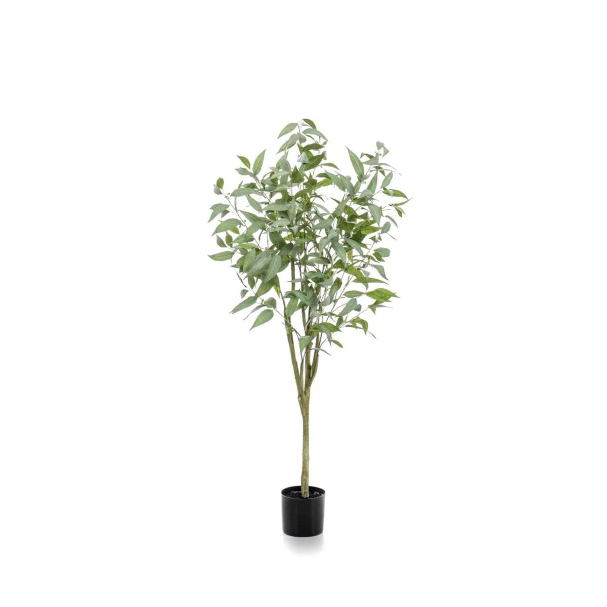 Indoor Faux Plant | Eucalyptus Globulus Tree 150cm