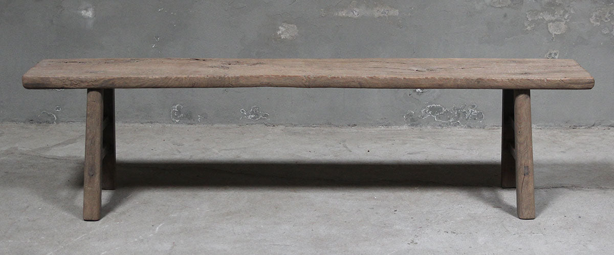 Bench elm
