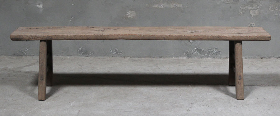 Bench elm