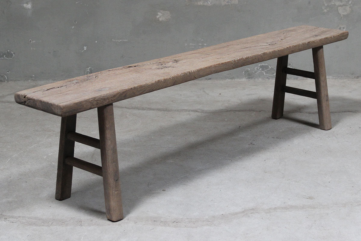 Bench elm – image 2