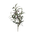 Olive Spray 75cm