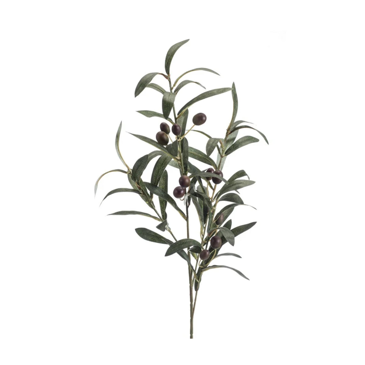 Olive Spray 75cm